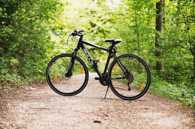 podróże rowerowe w lesie