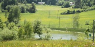 Słoneczne wakacje w górach