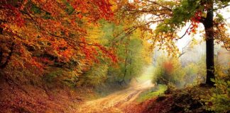 Kiedy jest pora deszczowa na Florydzie?