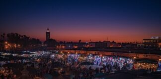 Czy Finowie to Nordycy?