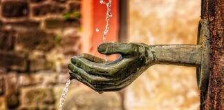 Co jest symbolem Danii?