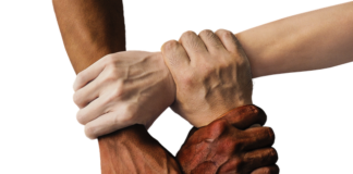 Czy danie jest w Unii?