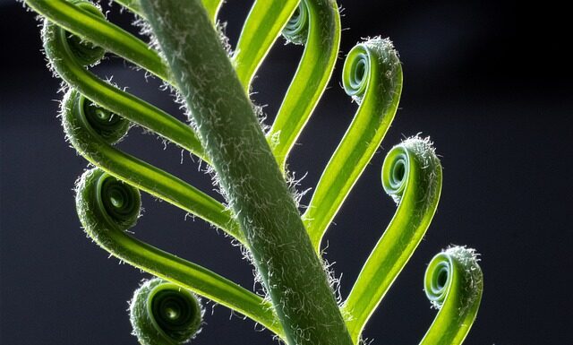 Czy Revolut działa w Chinach?