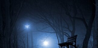 W którym miejscu jest Polska w piciu alkoholu?