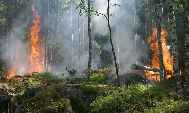 Na co trzeba uważać w Szwecji?
