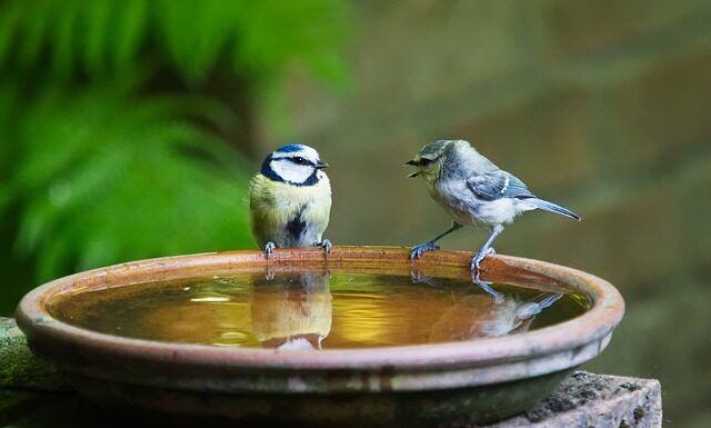 Jak się mówi po szwedzku tak?