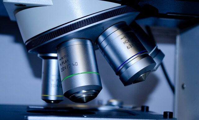 Czy warto studiować w Danii?