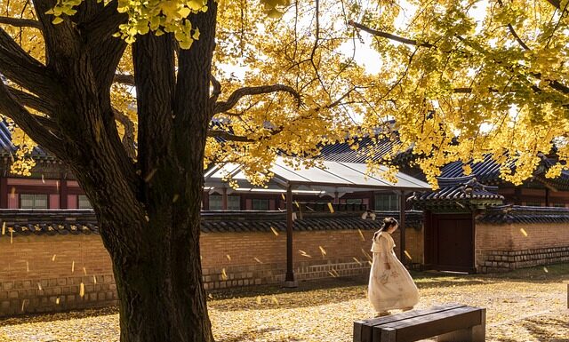 Czy gotówką będzie zakazana?