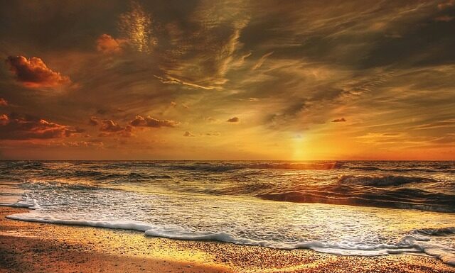 Z czego utrzymuje się dania?