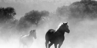 Czy można palić papierosy w Norwegii?