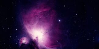 Jak wygląda nauka w Danii?