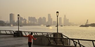 Dlaczego w żabka nie sprzedaje alkoholu?