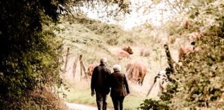 Jakie są najwyższe emerytury w Polsce?