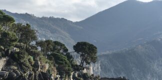 Ile kosztuje życie w Danii?