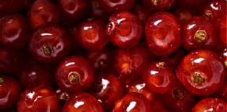 Gdzie lepiej nie jechać na wakacje?