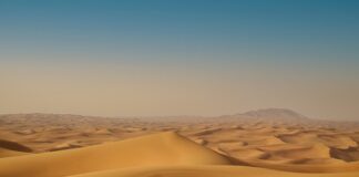 Czy Taxi w Dubaju jest drogie?